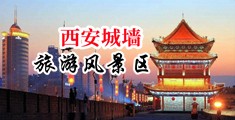 欧美成人老妇体内射精汇编中国陕西-西安城墙旅游风景区